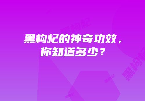 黑枸杞的神奇功效，你知道多少？