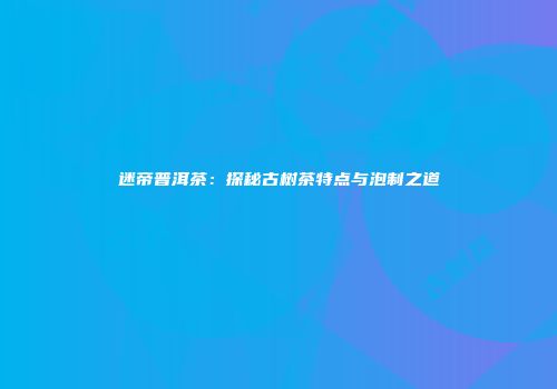 迷帝普洱茶：探秘古树茶特点与泡制之道