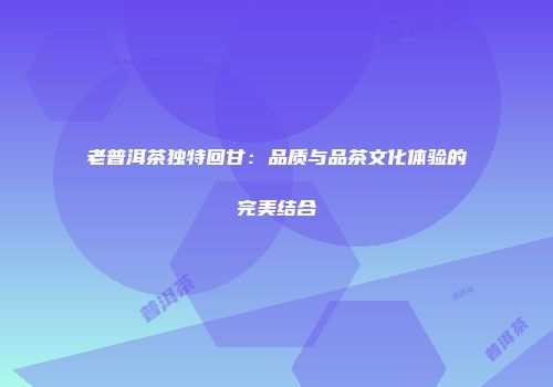 老普洱茶独特回甘：品质与品茶文化体验的完美结合