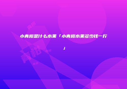 小青柑是什么水果「小青柑水果多少钱一斤」
