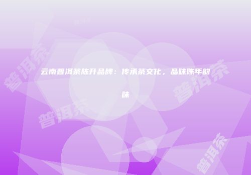 云南普洱茶陈升品牌：传承茶文化，品味陈年韵味