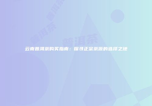 云南普洱茶购买指南：探寻正宗茶源的选择之地
