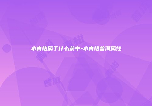 小青柑属于什么茶中-小青柑普洱属性