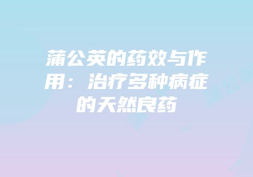 蒲公英的药效与作用：治疗多种病症的天然良药