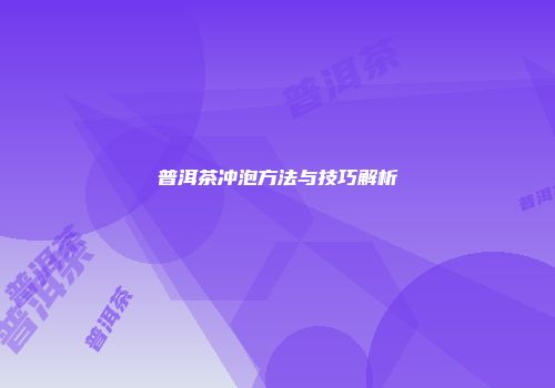 普洱茶冲泡方法与技巧解析