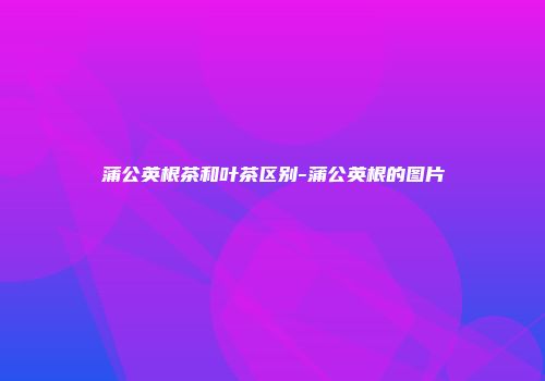 蒲公英根茶和叶茶区别-蒲公英根的图片