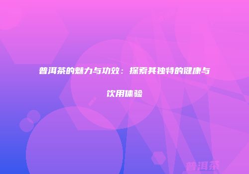 普洱茶的魅力与功效：探索其独特的健康与饮用体验