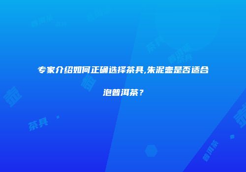 专家介绍如何正确选择茶具,朱泥壶是否适合泡普洱茶？