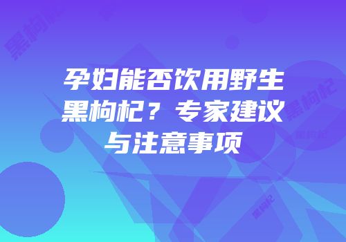 孕妇能否饮用野生黑枸杞？专家建议与注意事项