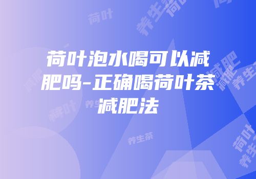 荷叶泡水喝可以减肥吗-正确喝荷叶茶减肥法