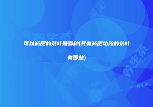 可以减肥的茶叶是哪种(具有减肥功效的茶叶有哪些)