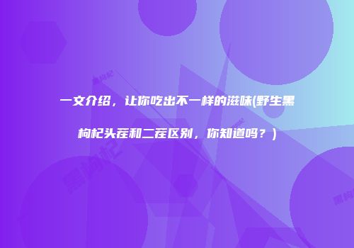 一文介绍，让你吃出不一样的滋味(野生黑枸杞头茬和二茬区别，你知道吗？)