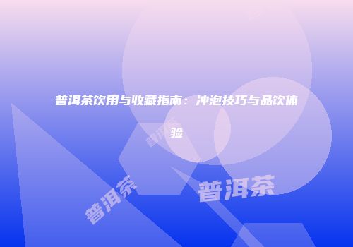普洱茶饮用与收藏指南：冲泡技巧与品饮体验