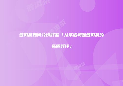 普洱茶如何分辨好差「从茶渣判断普洱茶的品质好坏」