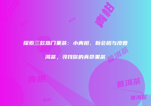 探索三款热门果茶：小青柑、新会柑与皮普洱茶，寻找你的真命果茶