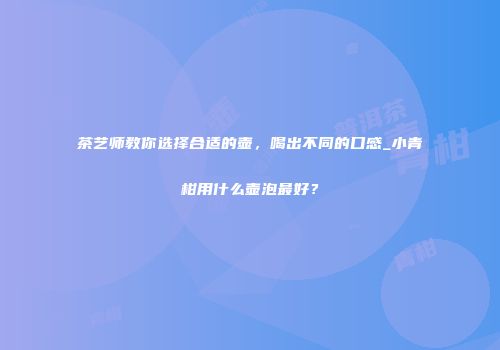 茶艺师教你选择合适的壶，喝出不同的口感_小青柑用什么壶泡最好？