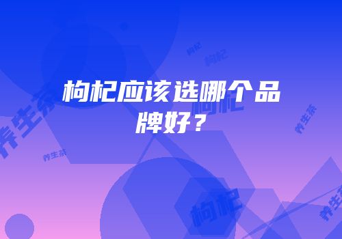 枸杞应该选哪个品牌好？