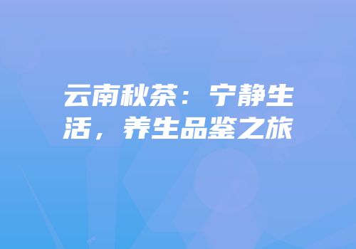 云南秋茶：宁静生活，养生品鉴之旅
