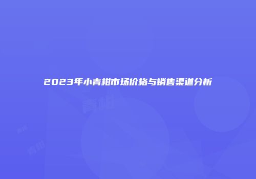 2023年小青柑市场价格与销售渠道分析