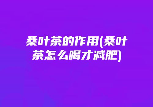 桑叶茶的作用(桑叶茶怎么喝才减肥)