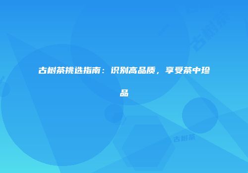 古树茶挑选指南：识别高品质，享受茶中珍品