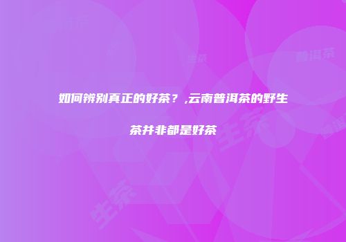 如何辨别真正的好茶？,云南普洱茶的野生茶并非都是好茶
