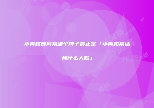 小青柑普洱茶哪个牌子最正宗「小青柑茶适合什么人喝」