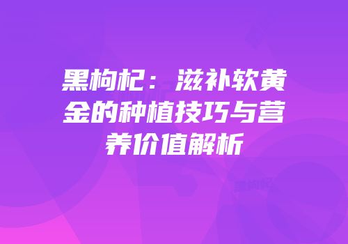 黑枸杞：滋补软黄金的种植技巧与营养价值解析