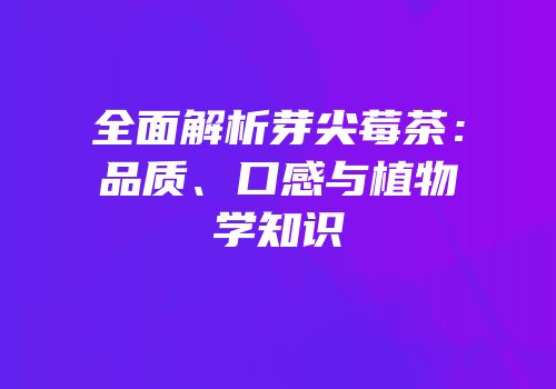 全面解析芽尖莓茶：品质、口感与植物学知识