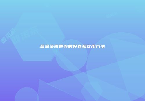 普洱茶带笋壳的好处和饮用方法