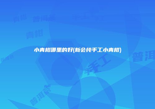 小青柑哪里的好(新会纯手工小青柑)