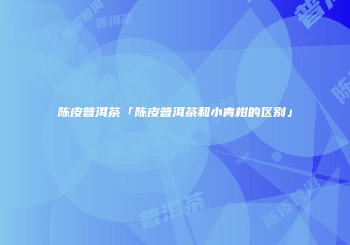 陈皮普洱茶「陈皮普洱茶和小青柑的区别」
