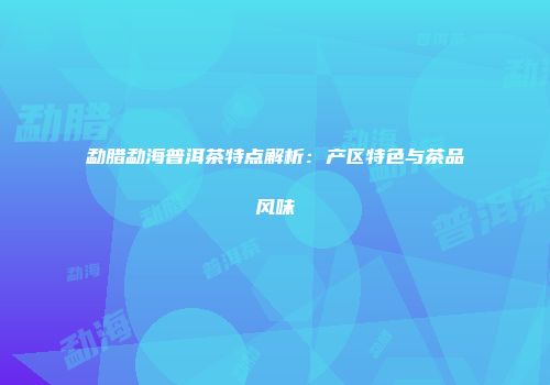 勐腊勐海普洱茶特点解析：产区特色与茶品风味