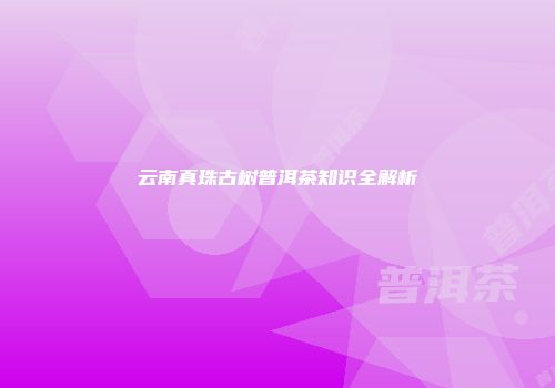 云南真珠古树普洱茶知识全解析