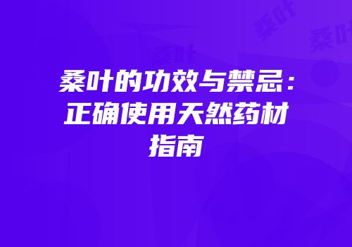 桑叶的功效与禁忌：正确使用天然药材指南