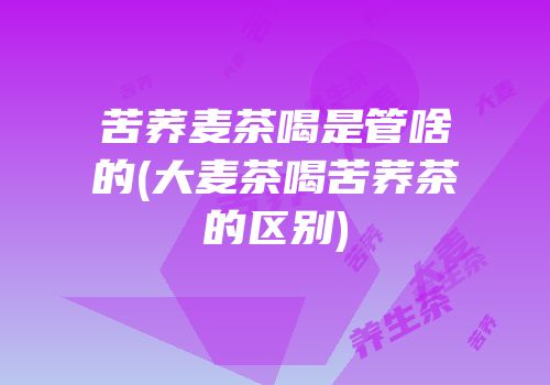 苦荞麦茶喝是管啥的(大麦茶喝苦荞茶的区别)