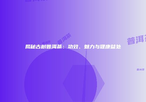 揭秘古树普洱茶：功效、魅力与健康益处