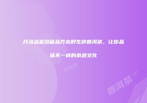 开汤品鉴珍藏品乔木野生砖普洱茶，让你品味不一样的茶道文化