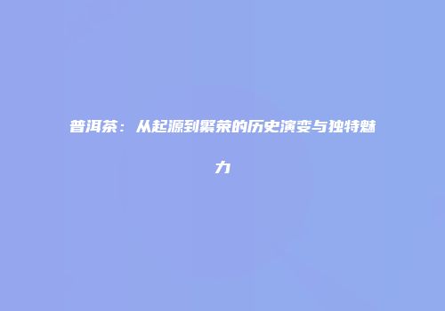 普洱茶：从起源到繁荣的历史演变与独特魅力