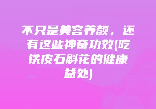 不只是美容养颜，还有这些神奇功效(吃铁皮石斛花的健康益处)