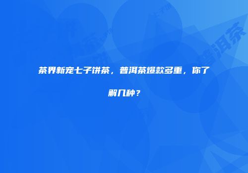 茶界新宠七子饼茶，普洱茶爆款多重，你了解几种？