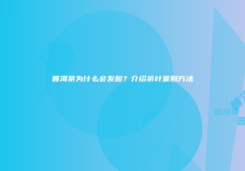 普洱茶为什么会发酸？介绍茶叶鉴别方法
