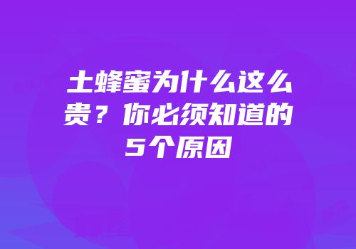 土蜂蜜为什么这么贵？你必须知道的5个原因