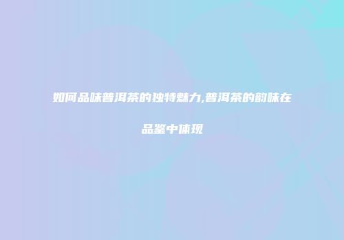 如何品味普洱茶的独特魅力,普洱茶的韵味在品鉴中体现