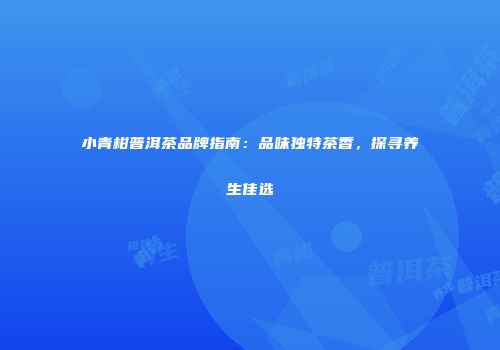 小青柑普洱茶品牌指南：品味独特茶香，探寻养生佳选