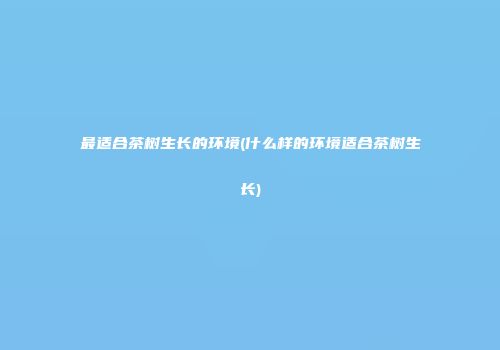 最适合茶树生长的环境(什么样的环境适合茶树生长)