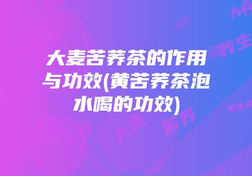 大麦苦荞茶的作用与功效(黄苦荞茶泡水喝的功效)