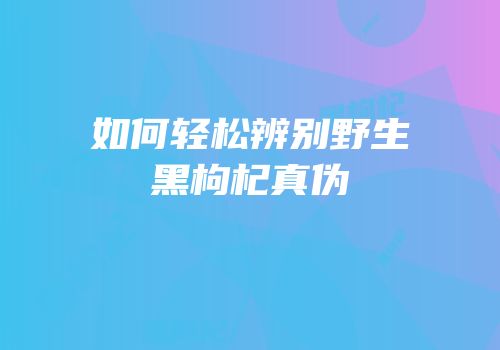 如何轻松辨别野生黑枸杞真伪
