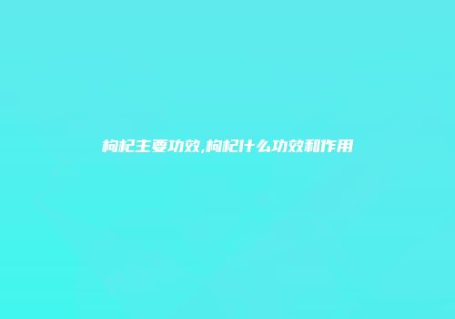 枸杞主要功效,枸杞什么功效和作用