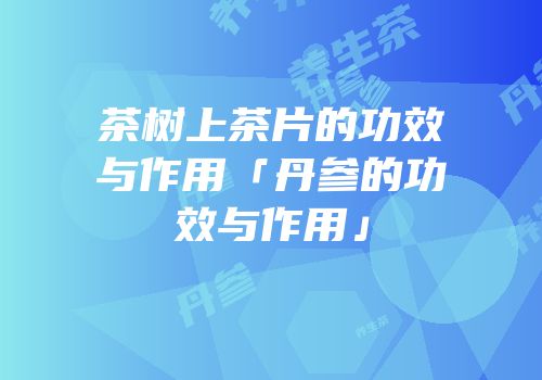 茶树上茶片的功效与作用「丹参的功效与作用」